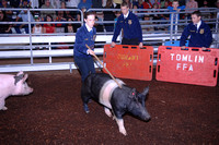 Swine show
