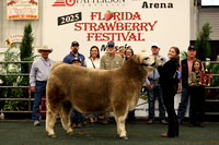 Mosaic Youth Steer Show