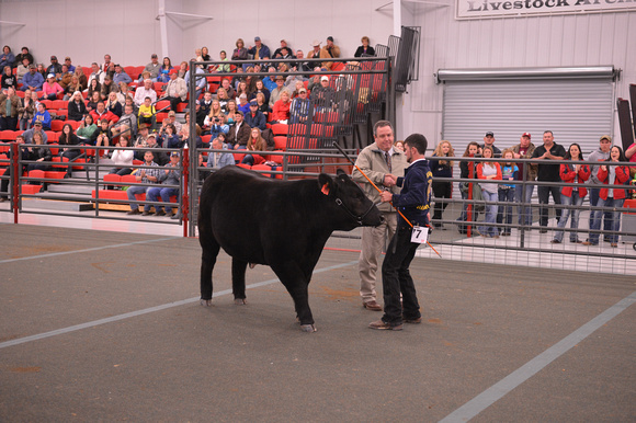 Florida Strawberry Festival Photos | 2013 Strawberry Festivial