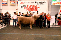 Mosaic Youth Steer Show