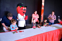 Contest Youth Strawberry Stemming