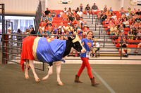 Dairy Shows