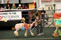 Lamb Jumping & Lamb Costume
