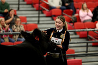 Mosaic Youth Steer Showmanship