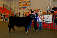 Steer Show Grand/Reserve Champions