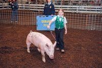 Swine Shows